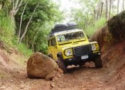 Mengapa Mobil SUV 4WD Cocok untuk Iklim Tropis dan Medan Off-Road